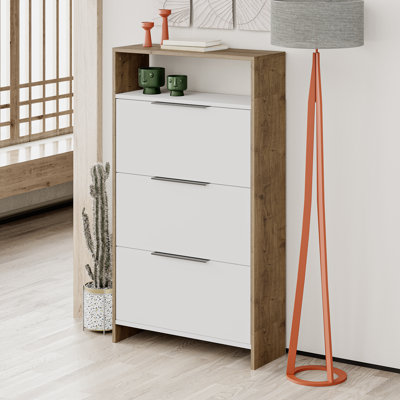 Shoe Storage Cabinet