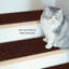 Elko Non-Slip Stair Tread-1186740322