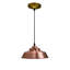 Mebane 1 - Light Gold Single Pendant
