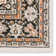 Maisey Oriental Indoor Rug