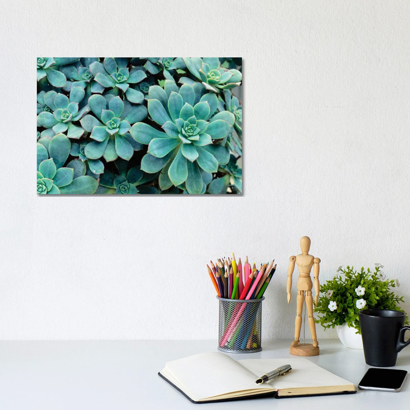 Close-Up Of Plants, Buffalo And Erie County Botanical Gardens, South Park, Buffalo, New York, USA - Wrapped Canvas Print