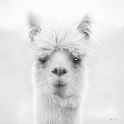 Chip The Alpaca