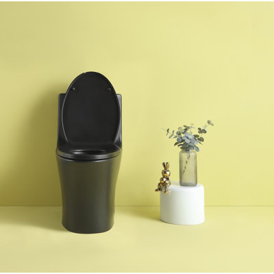 1.1/1.60 GPF Dual-Flush One Piece Toilet, Water-Saving Elongated Comfort Height Floor Mounted, Soft Closing Seat, 1000 Gram Map Flushing Score Toilet, Matte Black