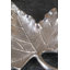 Aluminum Decorative Plate