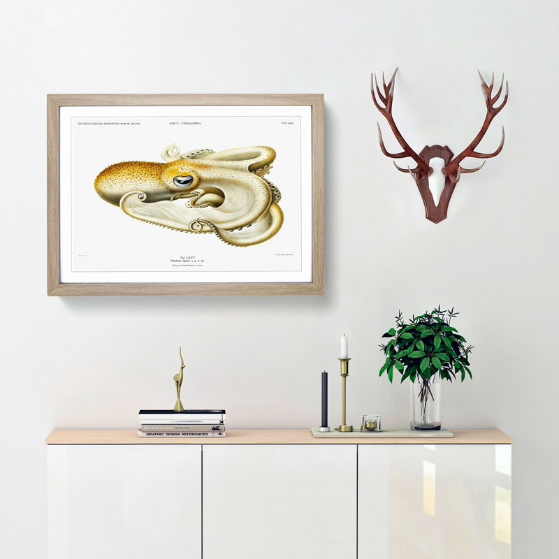 Velodona Octopus by Carl Chun - Picture Frame Painting Print, 27cm H x 36cm W x 2cm D, Oak Framed