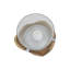 Caines Wood Tabletop / Centrepiece Hurricane