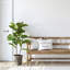 Faux Fiddle Leaf Fig Plant in Pot
