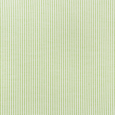 Easton Stripe Indoor/Outdoor Fabric