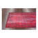 Oriental Indoor Rug