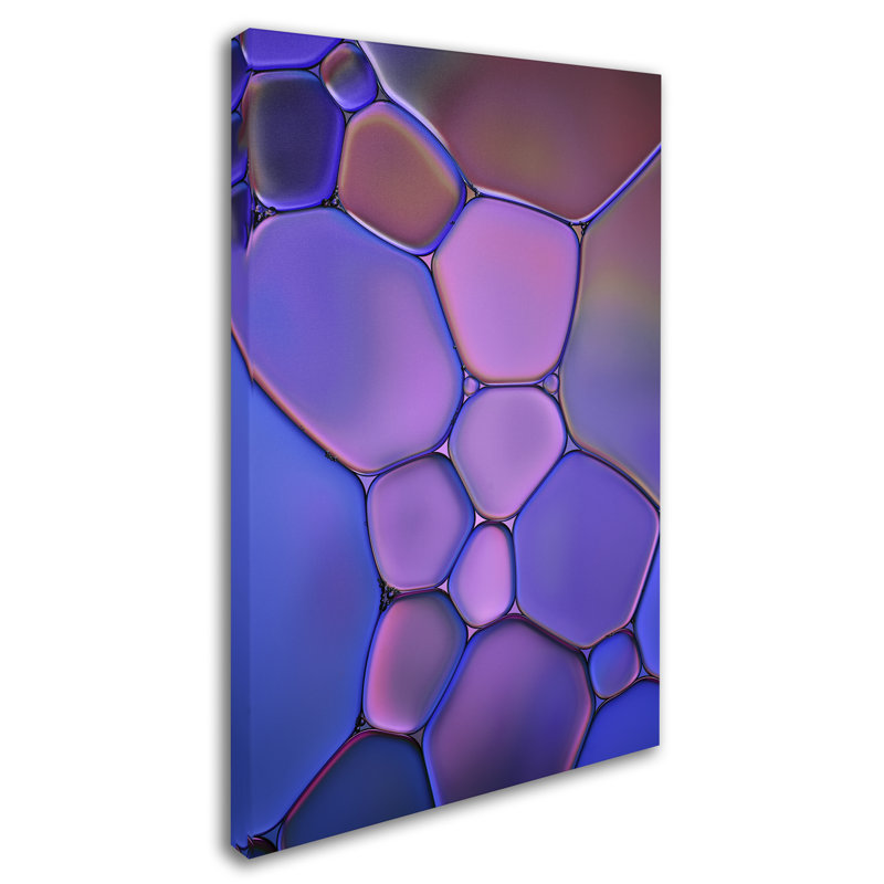 « purple teinté vitrail », reproduction de photo sur toile tendue, H 47 po x l 30 po x P 2 po
