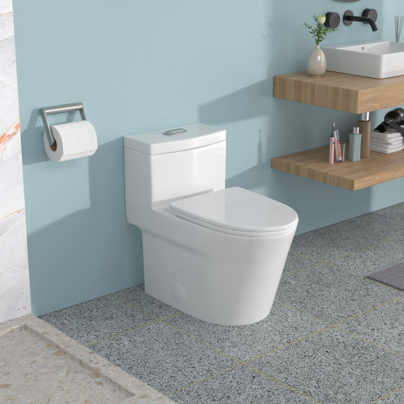 One Piece Ceramic Toilet For Bathroom, Dual Flush, 12-Inch Rough-In, Water Efficient (1.24/1.43 GPF) With Soft Closing Seat
