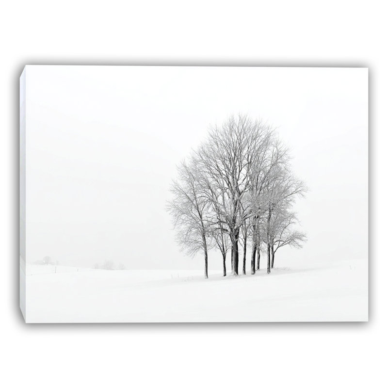 «Snowfield Trees», art mural sur toile tendue, H 12 po x l 16 po