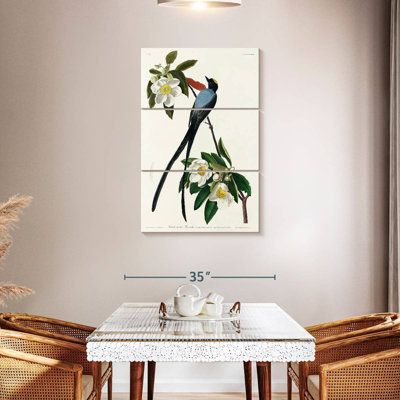 Brampt Fork-Tailed Flycatcher