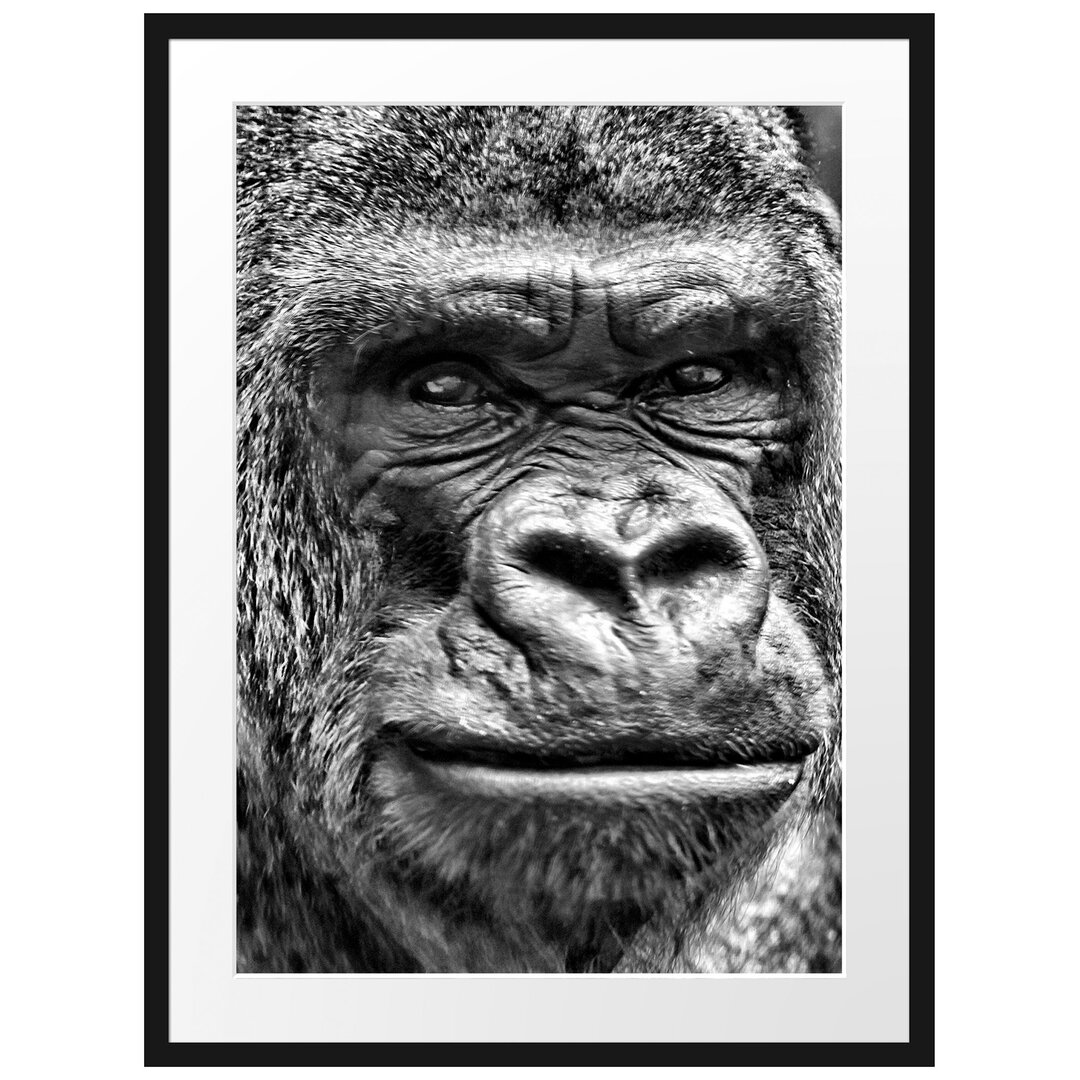 Gerahmtes Poster Stolzer Gorilla