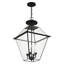 Boto Outdoor Hanging Lantern-64519772-32060560