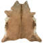 Bryant Animal Print Cowhide 150cm X 170cm Area Rug