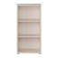 Rydar 99.1cm H x 49.8cm W Standard Bookcase