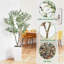 150cm Plant