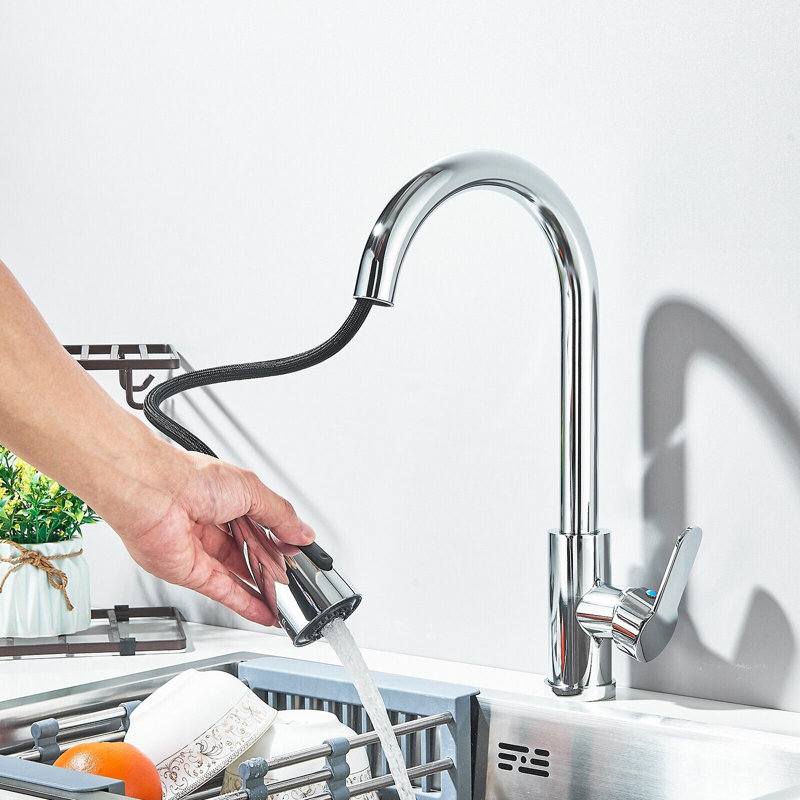 Belfry Kitchen Gundelinda Kitchen Faucet