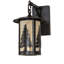 Rustic Lodge 1 - Light Armed Sconce