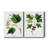 " Mountain Maple " 2 - Pieces-182103264-182450877-182450878