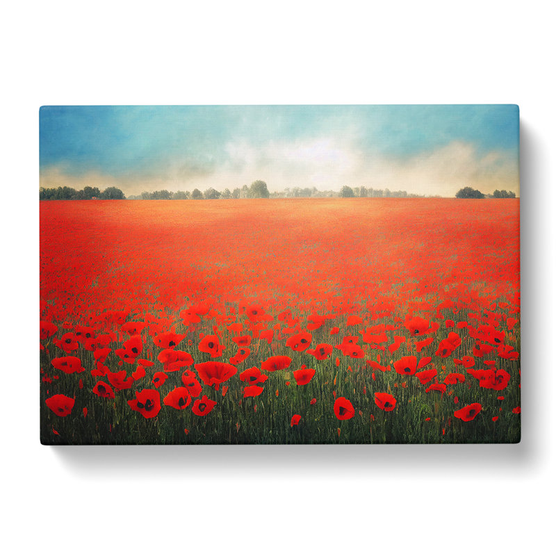 Vibrant Poppies Flowers - Wrapped Canvas, 35cm H x 50cm W x 3cm D