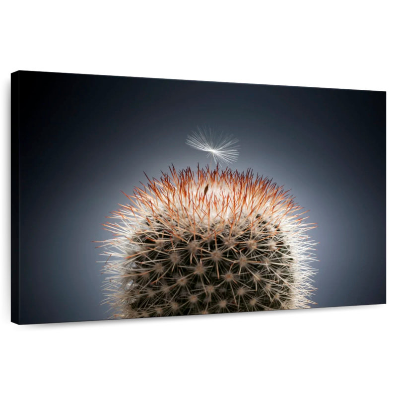 Harnek, graines de pissenlit sur cactus, H 8 po x l 12 po