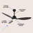 Clarra 52'' Ceiling Fan with LED Lights-1890635352