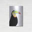 "Toucan aquarelle" par Naomi McCavitt-2046549950