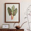 Organic Veg V - reproduction de cadre photo sur toile-369204819-369204816