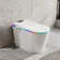 Smart Bidet Toilets, Auto Flush Heated Seat Warm Wash Dry Remote Control