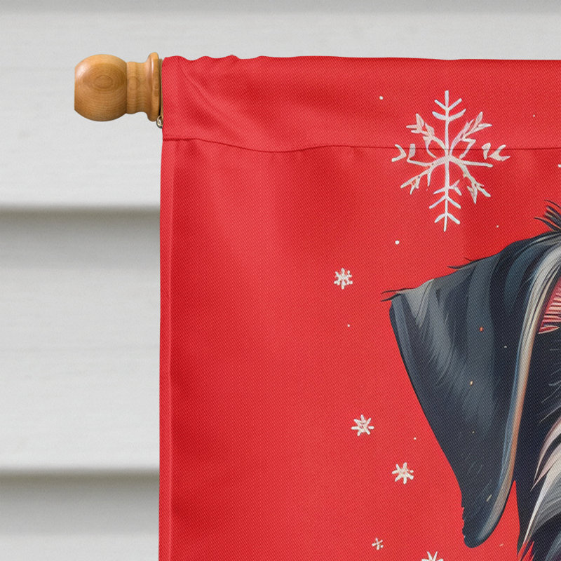 Double Sided 40'' H x 28'' W Polyester Christmas House Flag