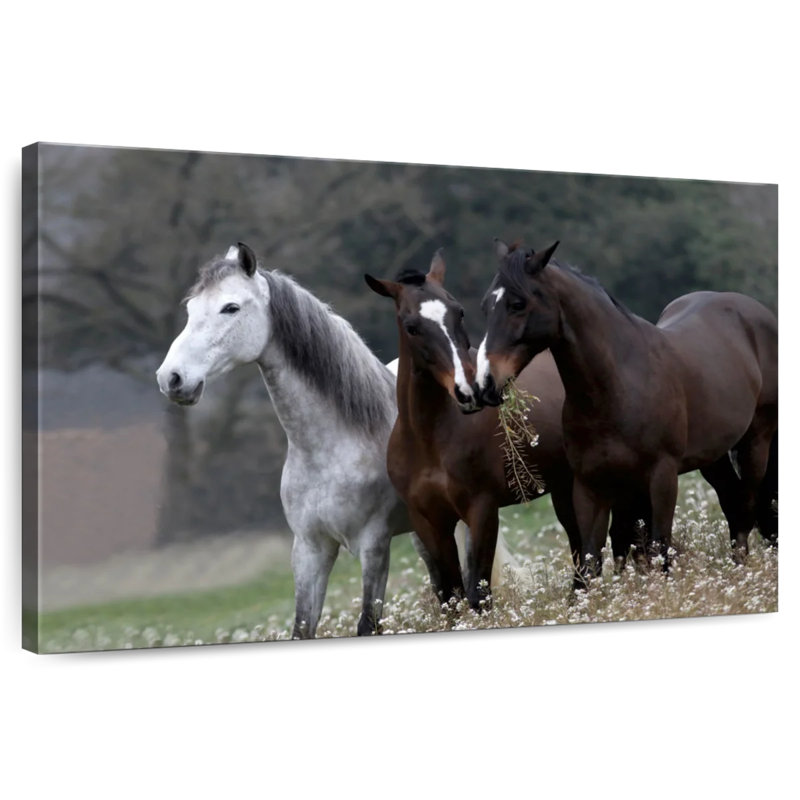 Three's Company Photography, 32" H x 48" W