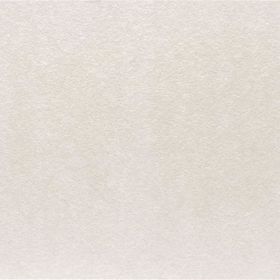 Acoustaffix 2 ft. x 4 ft. Direct Apply Mineral Fiber Acoustic Ceiling Tile, Set of 6