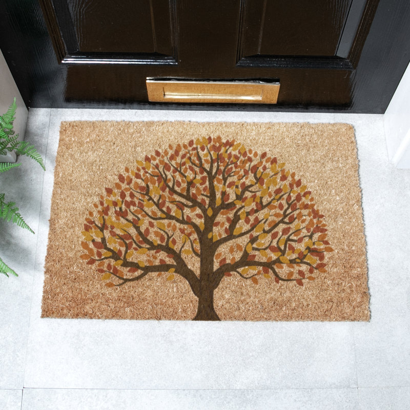 Non-Slip Indoor Doormat, 40cm W x 60cm L