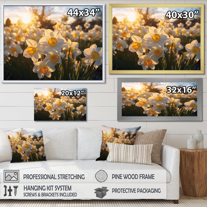 Daffodils Field Sunrise I - Floral Wall Decor, H 30 po x l 40 po x P 1,5 po, Toile tendue