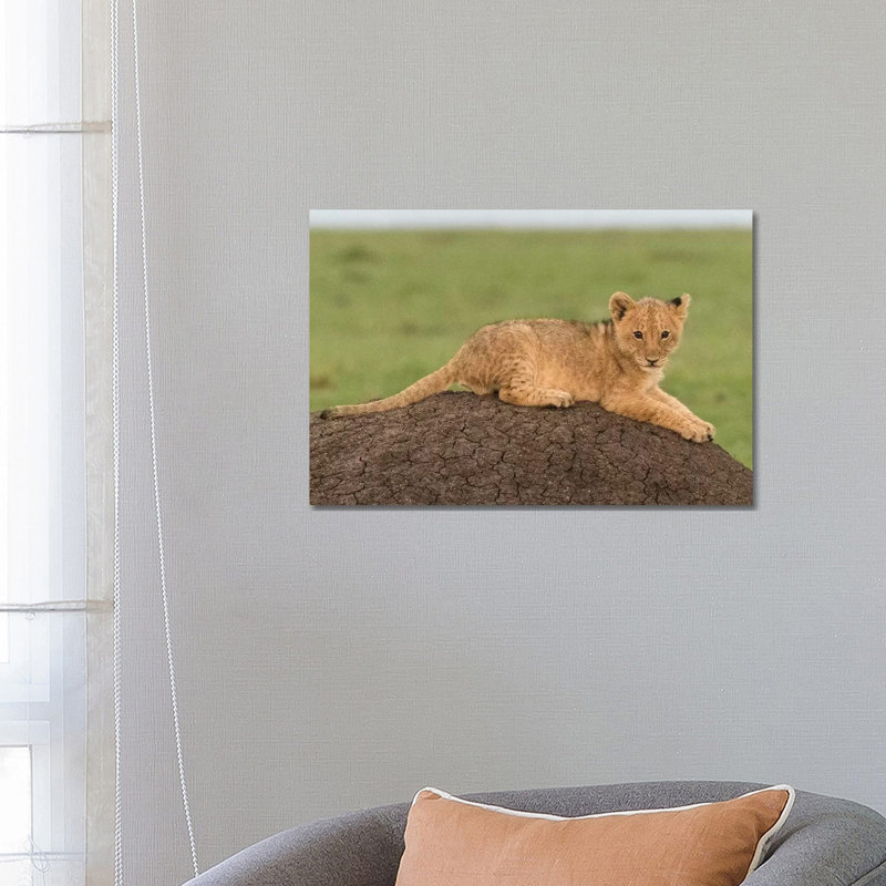 Africa, Kenya, Maasai Mara National Reserve Lion Cub On Termite Mound by Jaynes Gallery - Wrapped Canvas Print