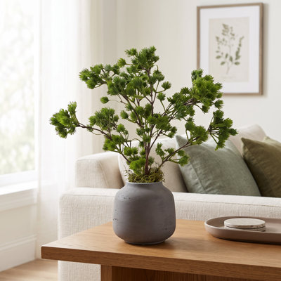 Ming Pine in Fiberstone Vase