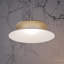 Asia So Light-77959984