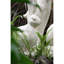 Figurine Blasko-284187564