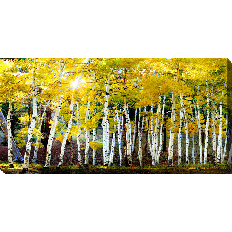 Décoration murale d’extérieur soleil on aspens Frith
