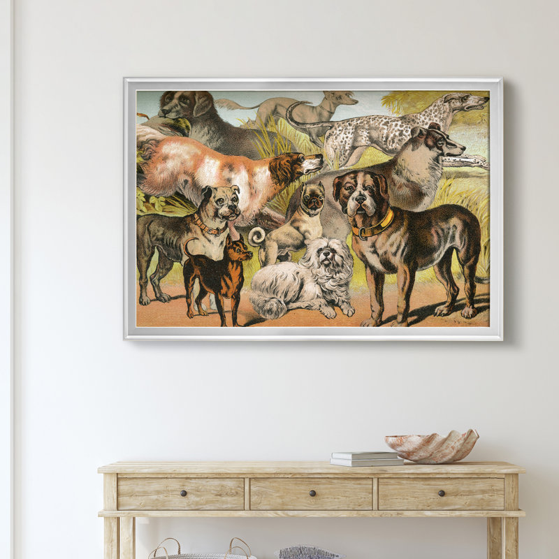 Johnsons Dog Breeds II - Reproduction d'art graphique sur toile encadrée, H 26,5 po x l 36,5 po x P 1,5 po, Argent