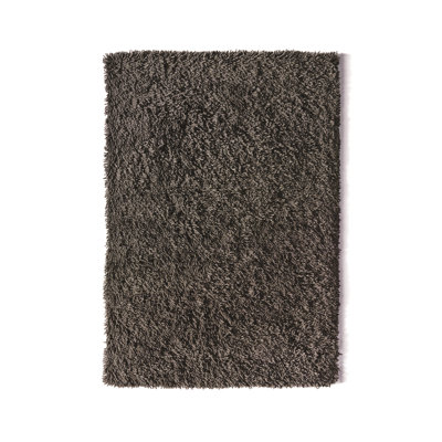 Eliezer Hand Woven Grey Indoor Rug