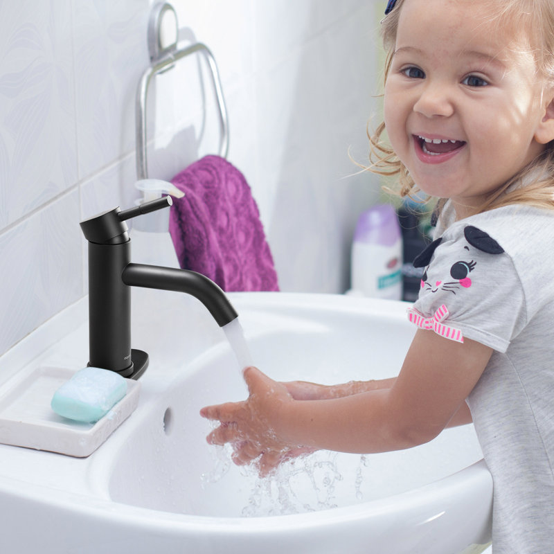 Robinet de salle de bain vasque, Noir