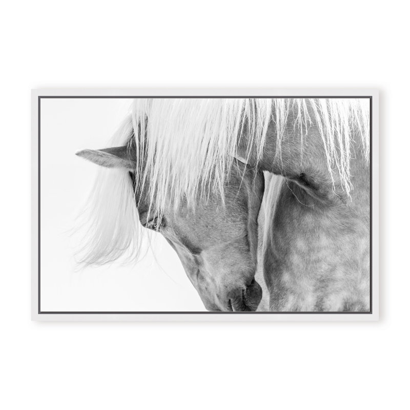 Nature Inspired Halflinger Portrait by  - Picture Frame Photograph on Paper, 24" H x 36" W x 1.125" D, Black