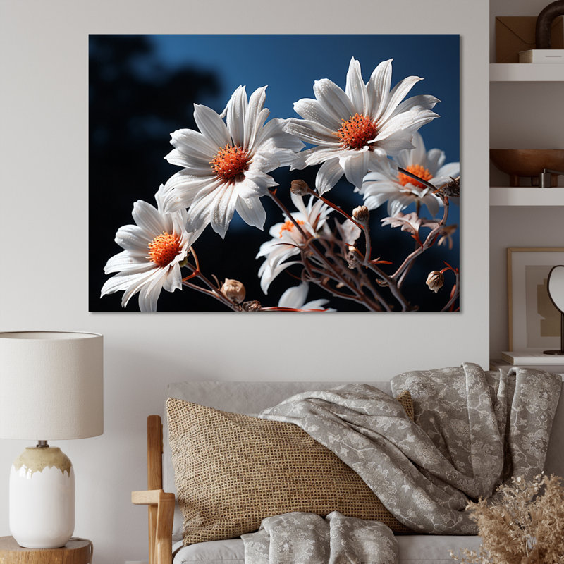 Champ de marguerites blanches au lever du soleil II - impression, Toile tendue, H 34 po x l 44 po x P 1,5 po