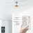 Geradette 56'' Ceiling Fan with LED Lights