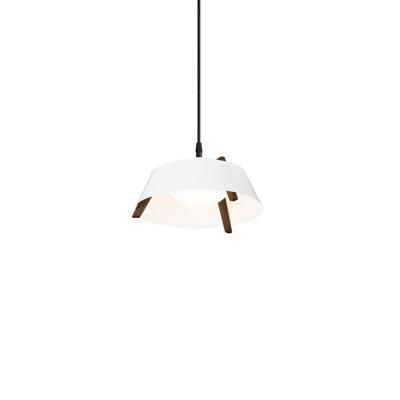 Casia 1 - Light Pendant