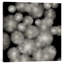 « silver soleil burst », impression sur toile tendue-19749704-74739987-74739988