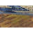 Tomlinson Abstract Blue Indoor/Outdoor Area Rug-29199341